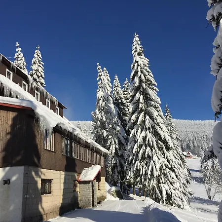 Flora Dolni Misecky Otel