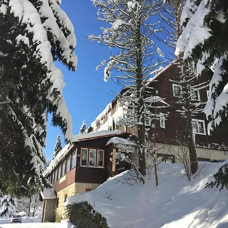 Flora Dolni Misecky Otel 3*
