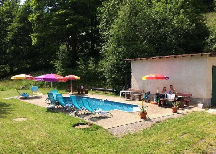 Hotel Flora Dolni Misecky 3*