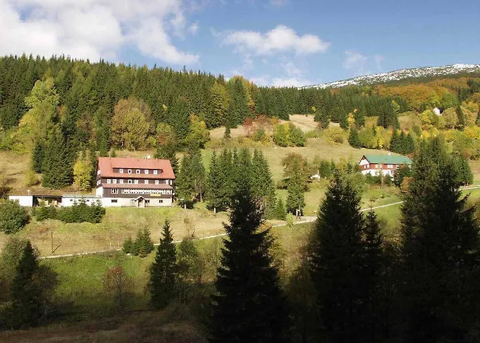 Hotel Flora Dolni Misecky