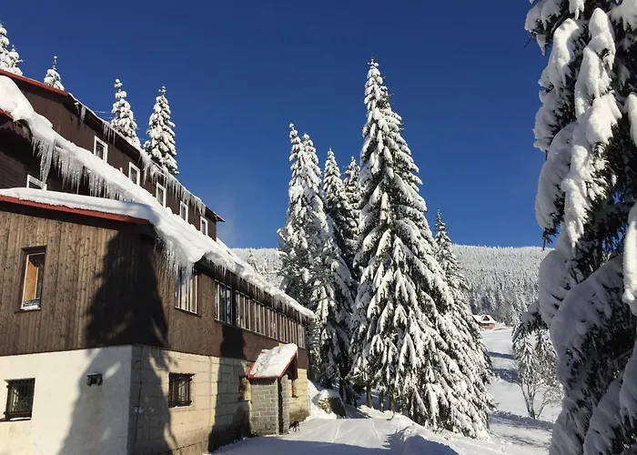 Flora Dolni Misecky Hotel