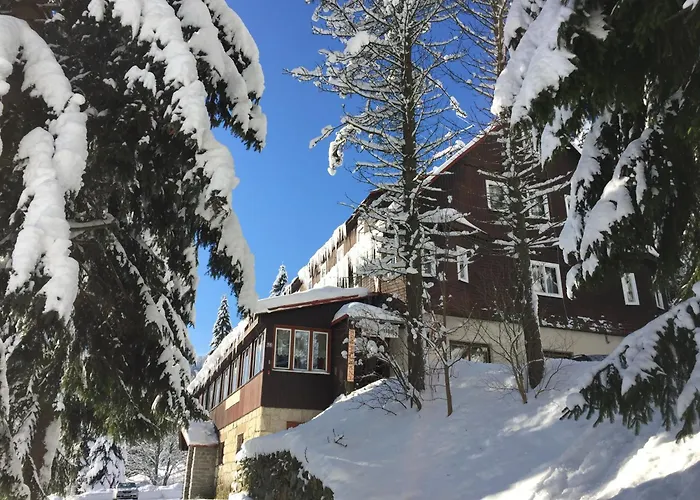 Flora Dolní Mísečky Hotel 3*