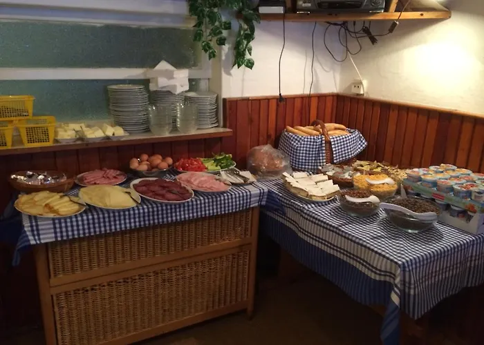 Hotel Flora Dolni Misecky Vítkovice
