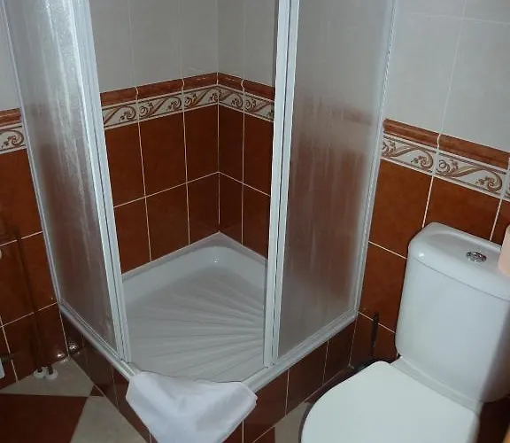 Hotel Flora Dolni Misecky 3*