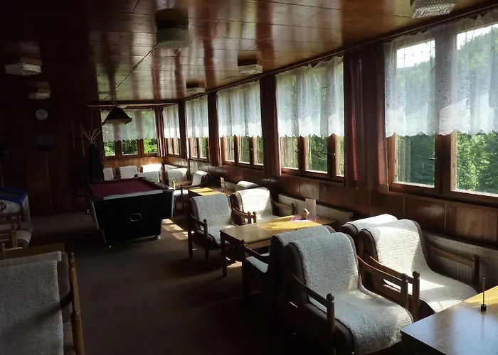 Hotel Flora Dolní Mísečky 3*