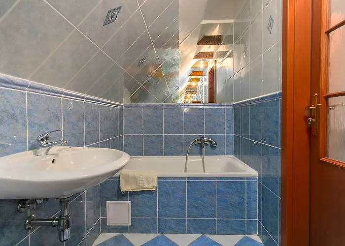 Hotel Flora Dolni Misecky